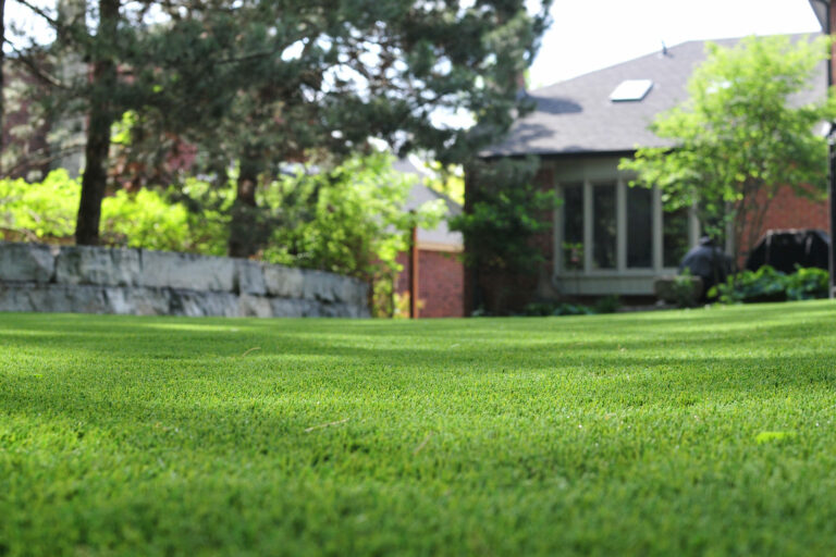 Wide view of backyard with dense synthetic grass, stone wall border, and house partially visible through trees.